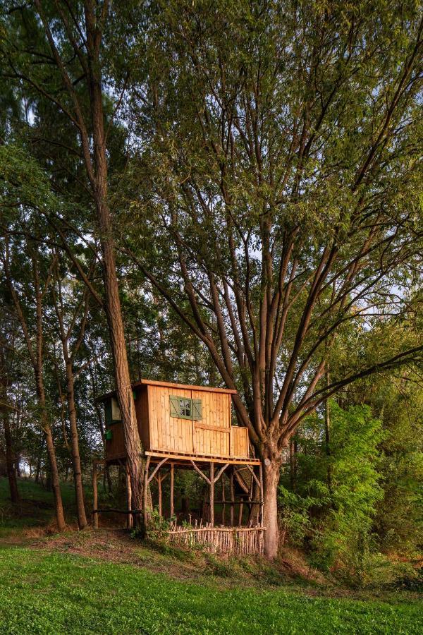Ca La Masovera - Mas Vinyoles Natura San Pedro de Torelló Exterior foto